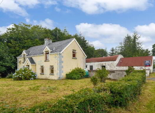 Corracarrow, Ballyjamesduff, A82YC44 photo