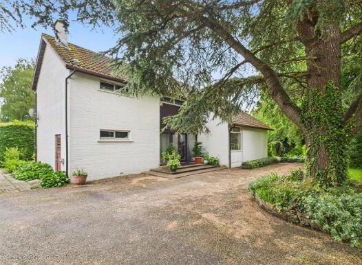 Roseamile, Gortlandroe, Nenagh, E45YD71 photo