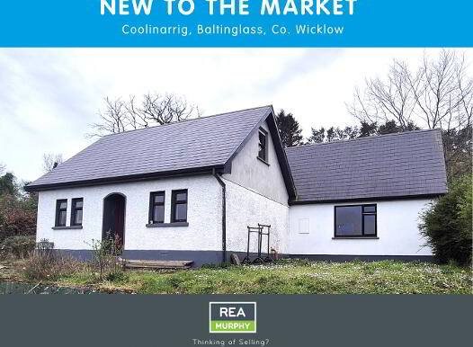 Coolinarrig, Baltinglass, W91K2K0 photo