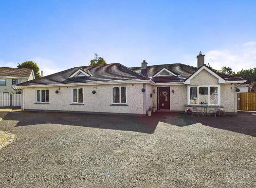 Kilcoursey, Clara, R35F381 photo