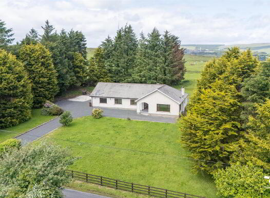 167 Braepark Road, Ballyclare, BT39 9TE photo