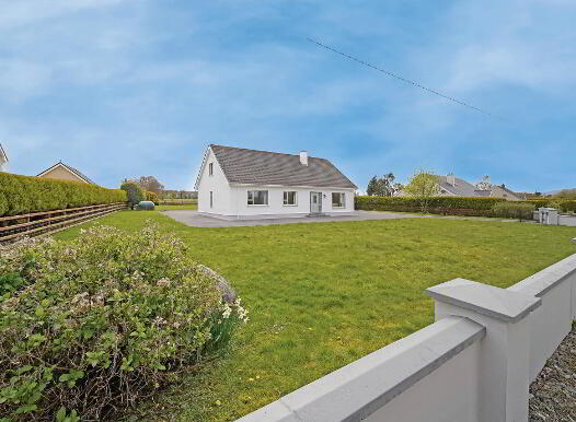 Rough Park, Ramelton, F92C868 photo