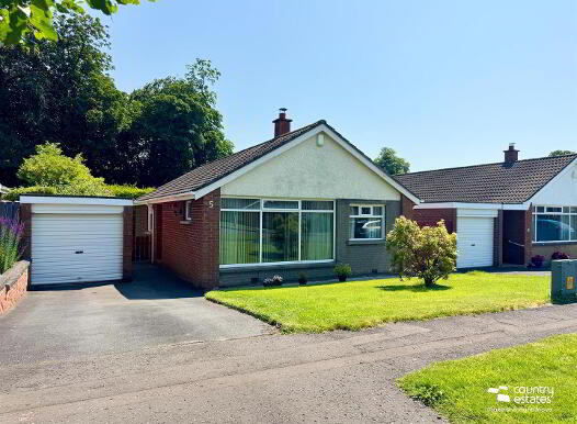5 Beech Green, Doagh, Ballyclare, BT39 0QB photo