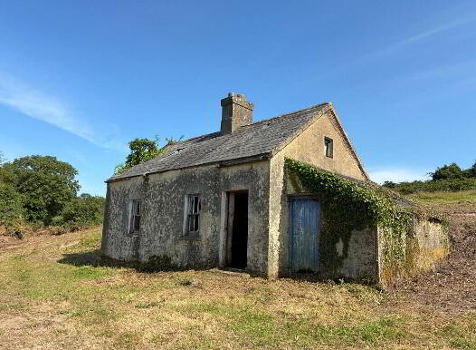 Ballinaspick, Lismore photo