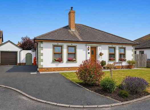 5 Old Forge Drive, Newtownards, BT23 8GP photo
