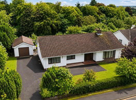 20 Georgian Villas, Omagh, BT79 0AT photo