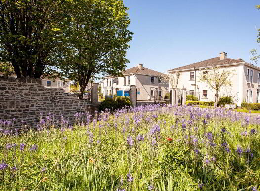 Apartment 8 Manor Court, Straffan Road, Maynooth, W23Y709 photo