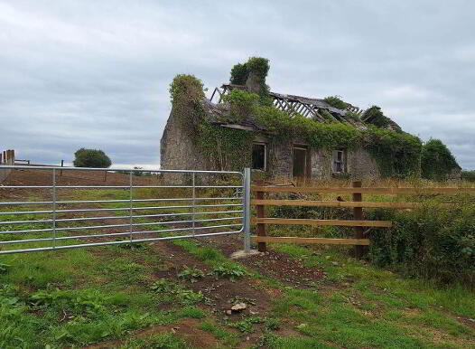 Knockakil Mayo Abbey, Claremorris photo