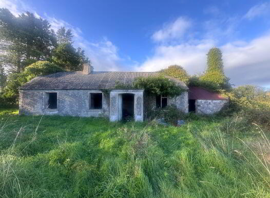 Tirlahode Upper (Cn7278f), Cavan Town, H12W264 photo