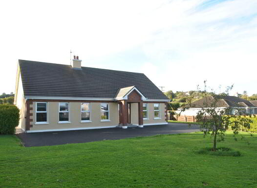 Carrig Road, Parkmore, Roscrea, E53CY99 photo