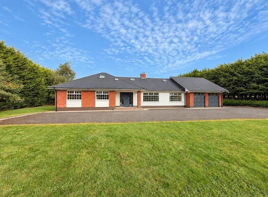 Carnes West, Bellewstown, Bellewstown, A92X973 photo