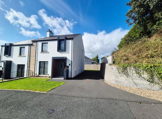 1 Eden Wood, Omagh, BT78 5FL photo