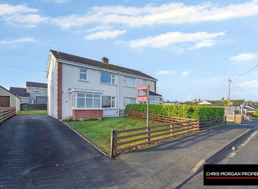 19 Gortgonis Road, Coalisland, Dungannon, BT71 4QF photo