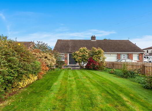 5 Derry Road, Newtownabbey, BT36 7UE photo