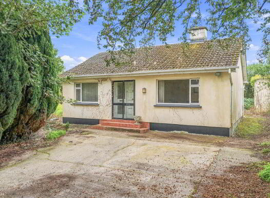 Cronyhorn, Ballymore, Ferns, Y21R5D2 photo