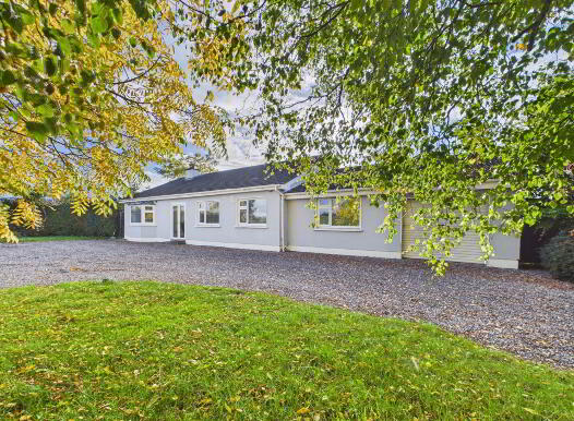 Barrowhouse, Athy, R14KW44 photo
