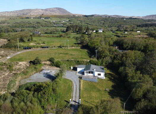 Droum Wood, Beara, Beara, P75AP04 photo