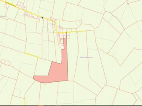 Photo 1 of 16.9 Acres, Ballygasheen, Ballinaclough, Nenagh