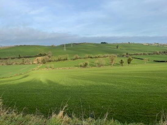 Photo 1 of Lands At Anaglog, Ardee, Folio Lh14638f, Ardee