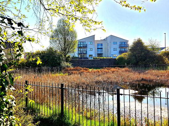 Photo 1 of 12 Mulberry Apartments, River Village, Monksland, Athlone