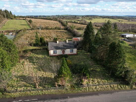 Photo 1 of Boley, Bawnboy