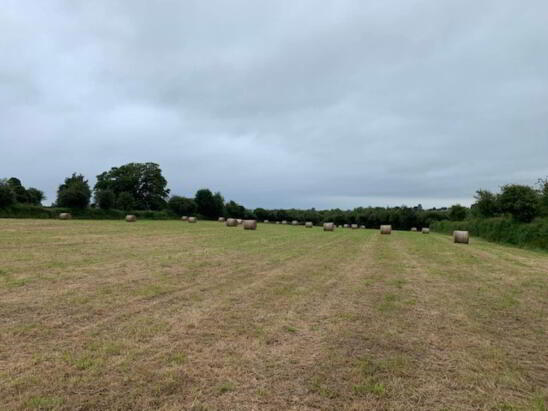 Photo 1 of 24 Round Bales Of Hay, Nenagh