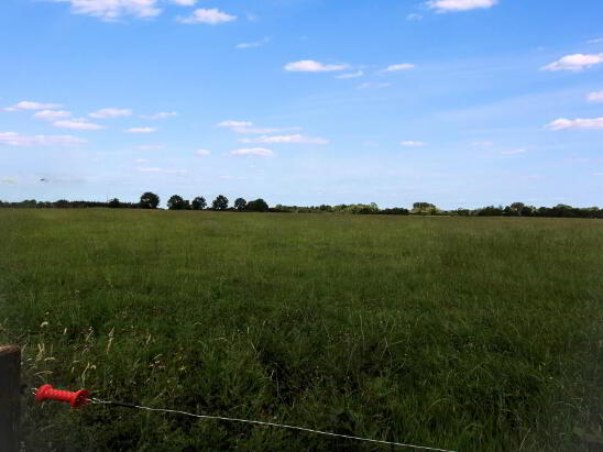 Photo 1 of Ballygraigue, Nenagh