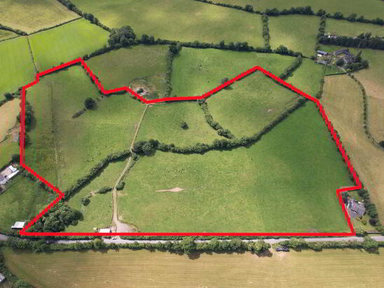 Photo 1 of C. 32 Acres At Kilmartin, Ballaghmore, Borris In Ossory