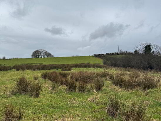 Photo 1 of Toneneave,, Maghercloone,, Carrickmacross