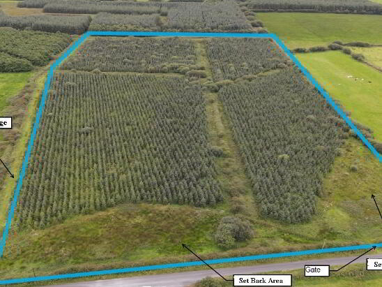 Photo 1 of Cloonmore, Doonbeg