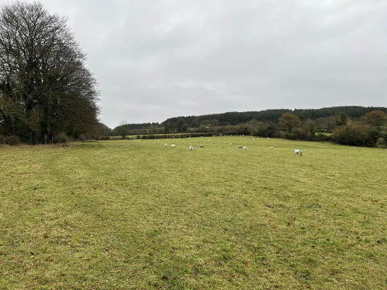 Photo 1 of C. 4.28 Ha At Ballyduff, Roscrea