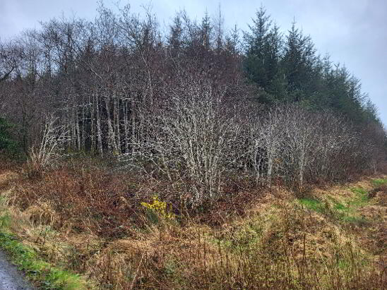 Photo 1 of Fuel, Curry, Co Sligo