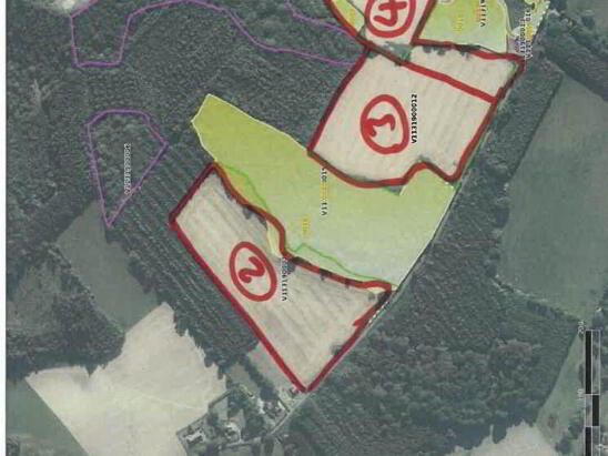 Photo 1 of 37 Acres, 1st & 2nd Cut Silage, Casteltown, Coolbawn, Nenagh