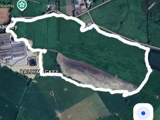 Photo 1 of 48 Acres, Of Grass For 1st And 2nd Cut Silage, Ballymackey, Nenagh