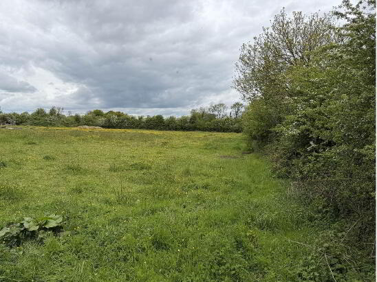 Photo 1 of Site At, Kyleannagh, Clonakenny, Roscrea