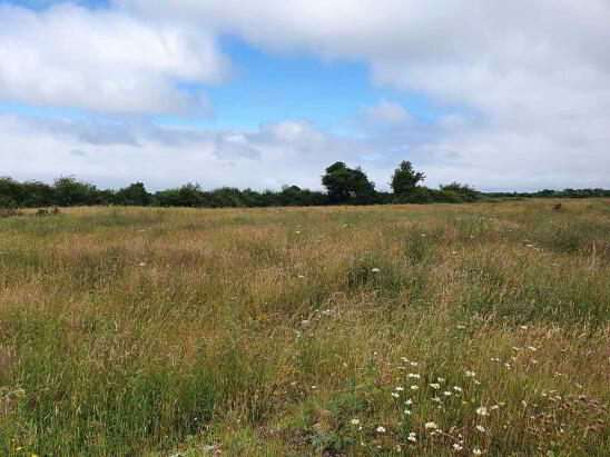 Photo 1 of Morenane, Kilcornan, Askeaton