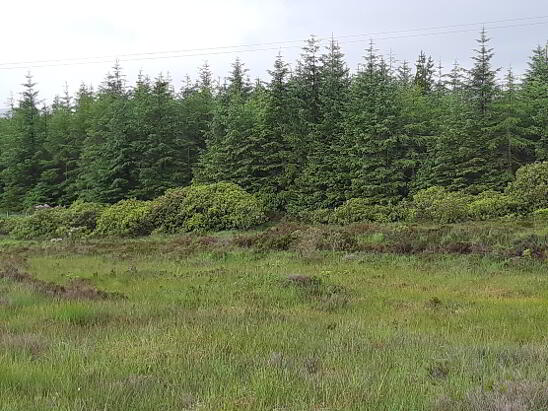 Photo 1 of Forestry Lots, Ballintra Area, Ballintra