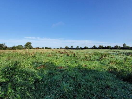 Photo 1 of 57 Acres, Gillstown Great, Athboy
