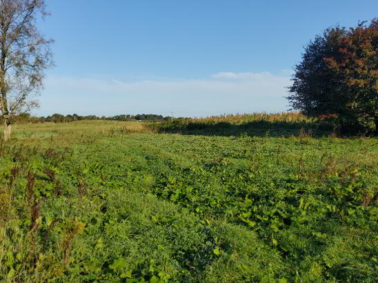 Photo 1 of 38 Acres, Martinstown, Athboy