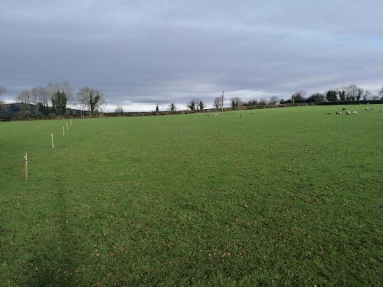 Photo 1 of Mount Kelly, Rathvilly, Carlow