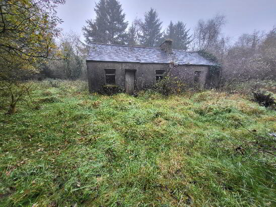 Photo 1 of Forestry & Cottage, Cloonarara, Lavagh