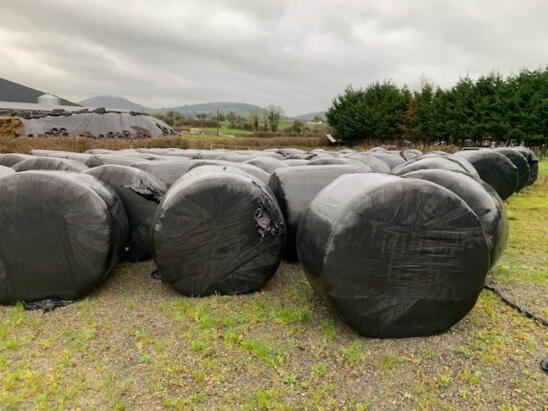 Photo 1 of 70 Bales Of Silage, Nenagh