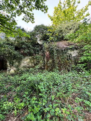 Photo 1 of Coohey, Ballybay