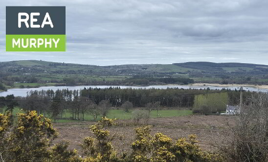 Photo 1 of Blackrock, Blessington