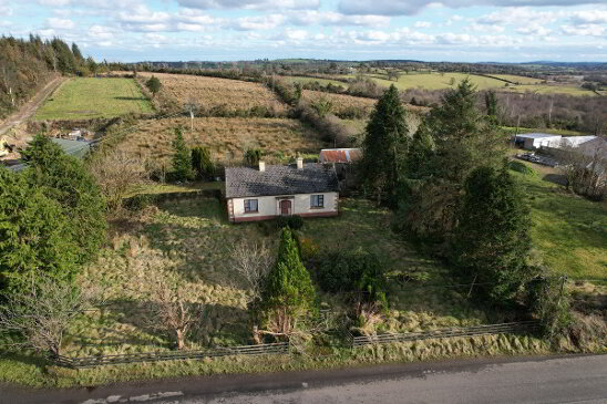 Photo 1 of Boley, Bawnboy