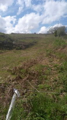 Photo 1 of Knocknagorthna, Athea