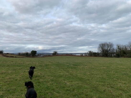 Photo 1 of 52 Acres (, 21 Ha), Aughinish, Ogonnelloe, County Clare