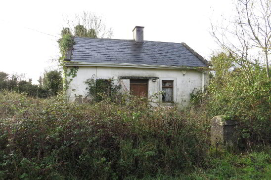 Photo 1 of Ballynoran, Ballyhea, Charleville