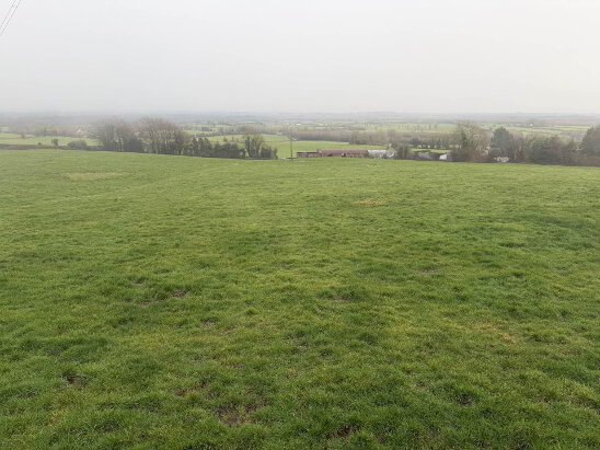 Photo 1 of C. 9 Acres At Boulerea, Knock, Roscrea