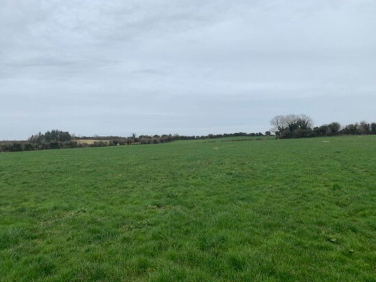 Photo 1 of Monsea, Ballycommon, Nenagh